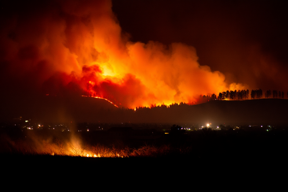 USA Wildfire Statistics by State